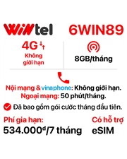 SIM Wintel 6WIN89 (Không giới hạn dung lượng)