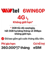 SIM Wintel 6WIN60P (Không giới hạn dung lượng)